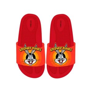 Παντόφλες 3D Looney Tunes size 25-32