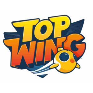 Top Wing