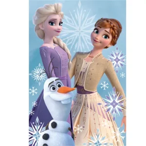 Κουβέρτα fleece Disney Frozen Size: 100 x 150 cm.