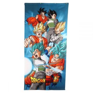 Πετσέτα θαλάσσης Sonic Size: 70 x 140 cm