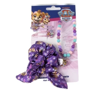 Paw Patrol necklace and hair accessory set