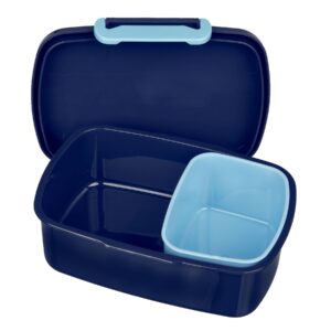 Bluey lunch box